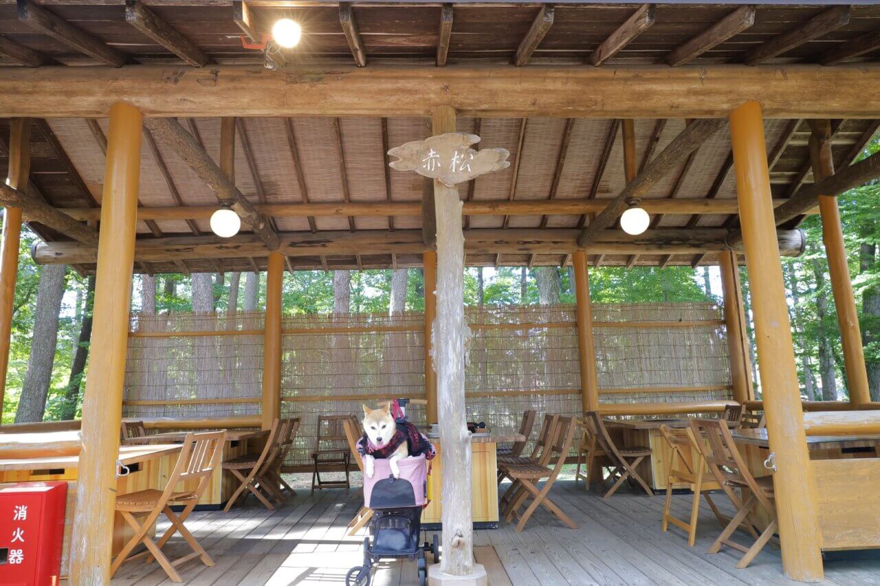 【岩手県・犬同伴OK】炭火焼BBQガーデン(小岩井農場)｜手ぶらで本格的なバーベキューが楽しめる屋外レストラン