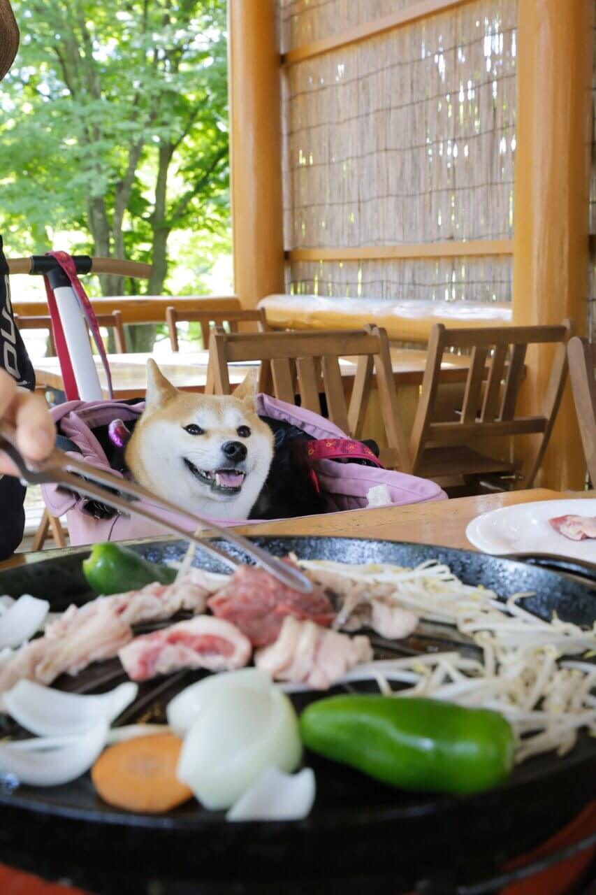 【岩手県・犬同伴OK】炭火焼BBQガーデン(小岩井農場)｜手ぶらで本格的なバーベキューが楽しめる屋外レストラン