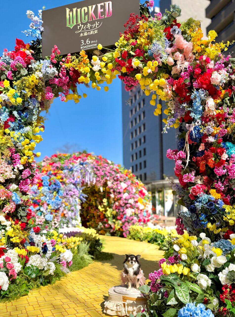 【東京都・犬同伴OK】東京ミッドタウン日比谷　HIBIYA BLOSSOM｜四季折々の自然や歴史的な景観を楽しめる「都会のオアシス」