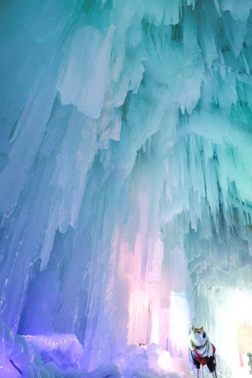 【岩手県・犬同伴OK】氷の世界2026｜巨大な氷の建造物や幻想的なライトアップが楽しめる