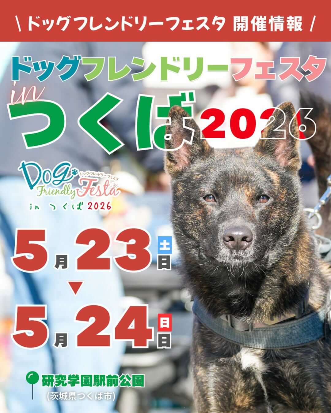 【茨城】ドッグフレンドリーフェスタ in つくば 2026