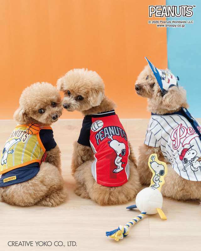 PET PARADISE（ペットパラダイス）｜スヌーピーやディズニーなどキャラ服が豊富。季節ごとの機能性ウェアも充実。