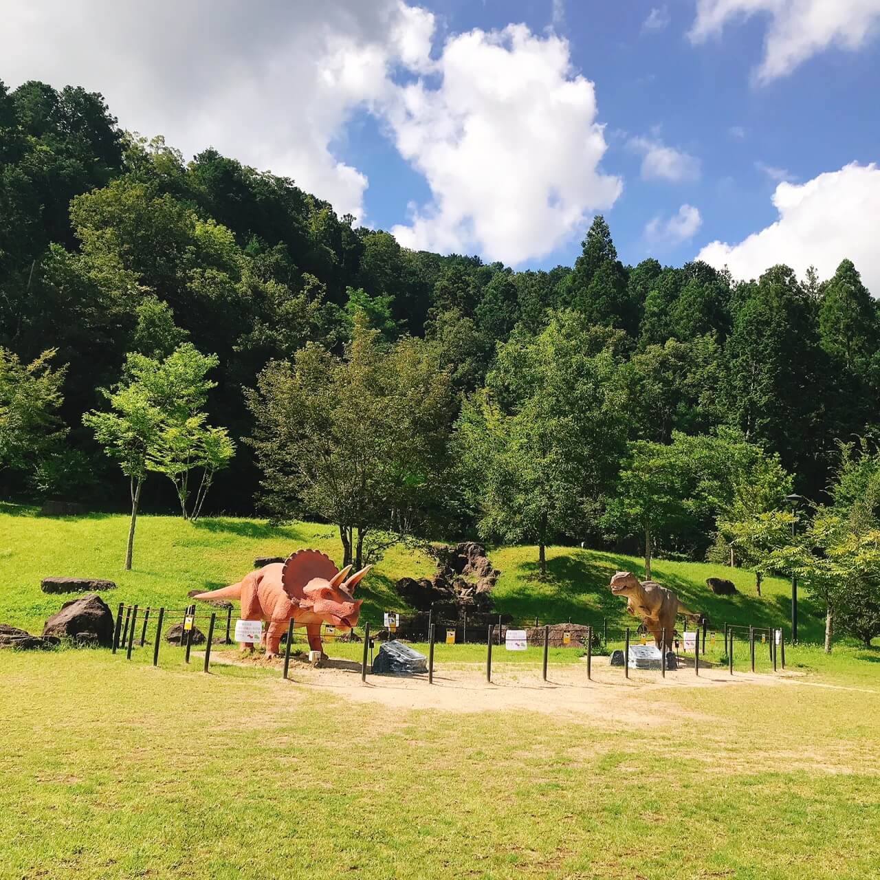 【兵庫県・犬同伴OK】丹波並木道中央公園｜広大な自然の中で家族や愛犬と楽しめる、無料のレクリエーションスポット