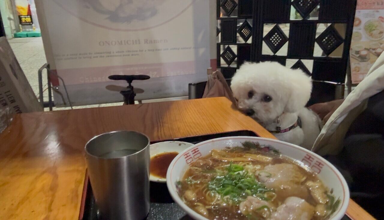 【広島県・犬同伴OK】尾道｜歴史的な港町で、犬と一緒に楽しめるスポットが豊富で、自然や美しい景観を満喫