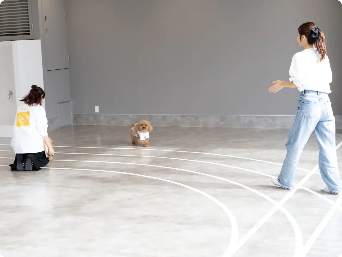 HOT DOG TOWN Ariake（東京都江東区）