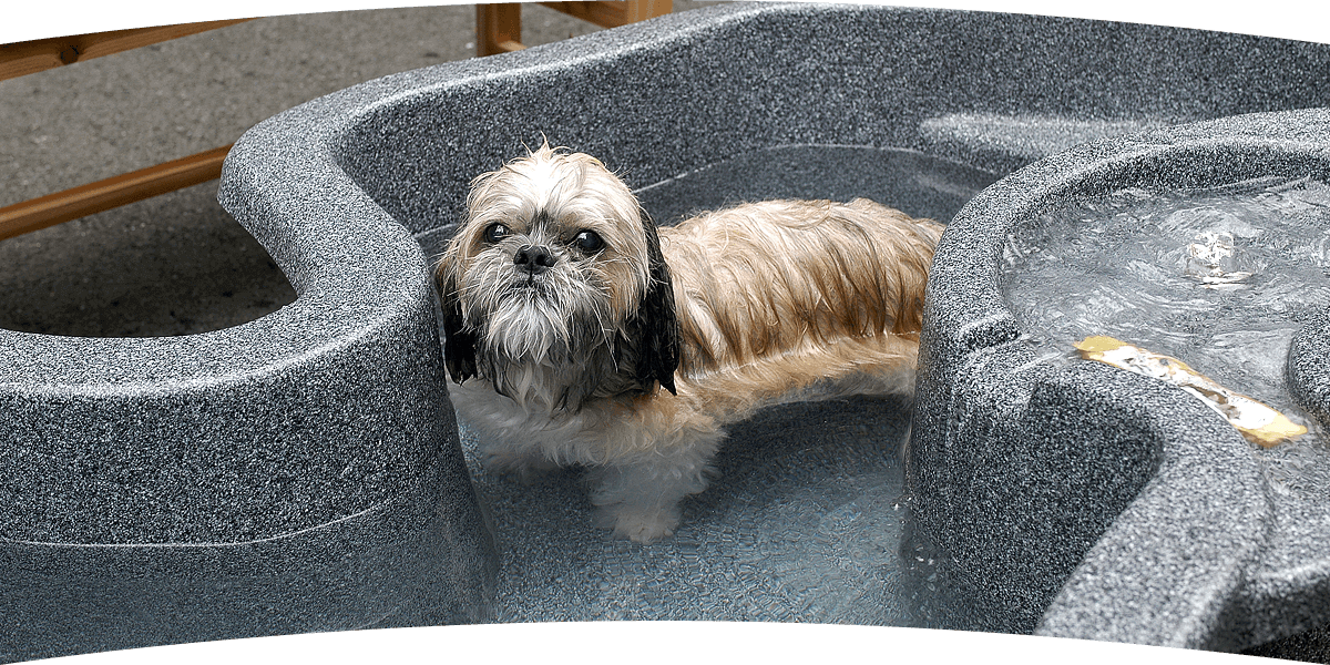 湯遊び処 箱根の湯（神奈川県）