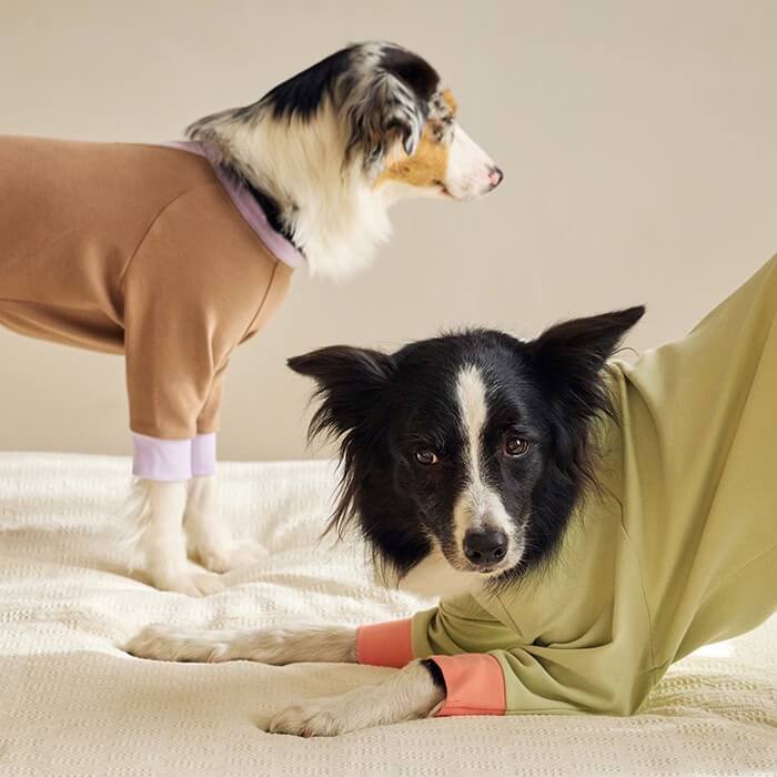 Mandarine Brothers（マンダリンブラザーズ）｜都会的でタフな作り。大型犬サイズも充実。