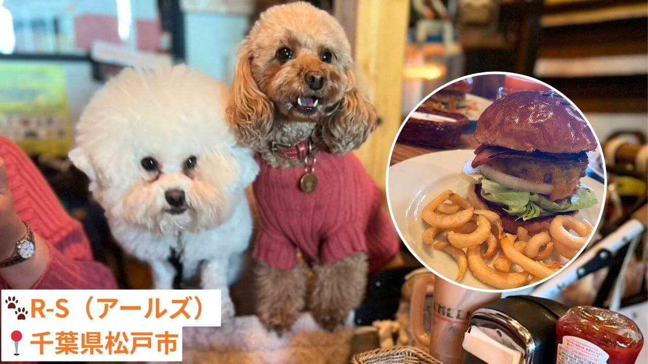 【千葉県・犬同伴OK】アールズ｜和牛100%のジューシーなパティを使用した「リアルバーガー」が評判で、ボリューム満点の美味しさ