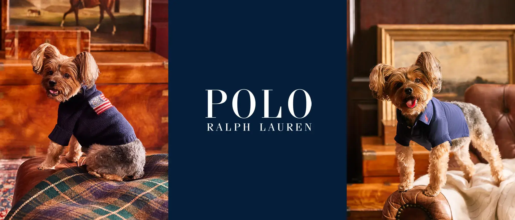 RALPH LAUREN（ラルフローレン）｜上品なトラッドスタイルで、特別な日の一着に。