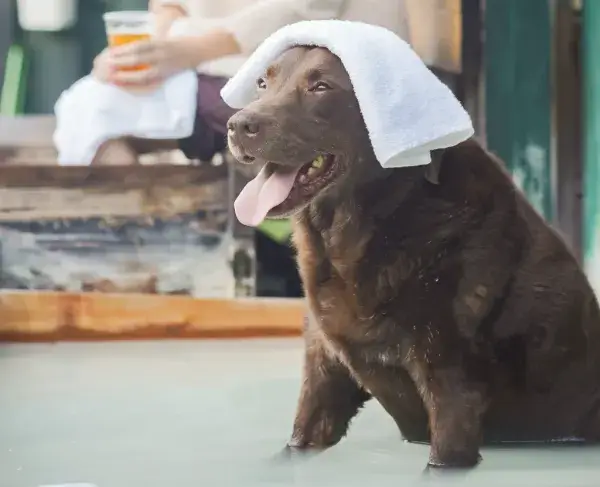箱根強羅グアムドッグ本店（神奈川県）