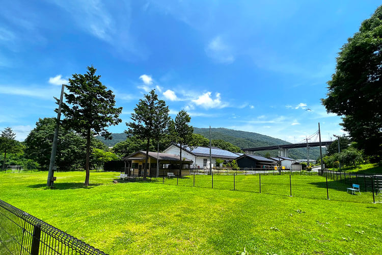 スパ・ドッグラン秩父（埼玉県）のドッグラン
