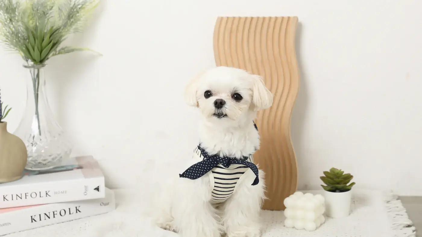 mon chéri（モンシェリ）｜くすみカラー×ナチュラル素材が今っぽさNo.1。