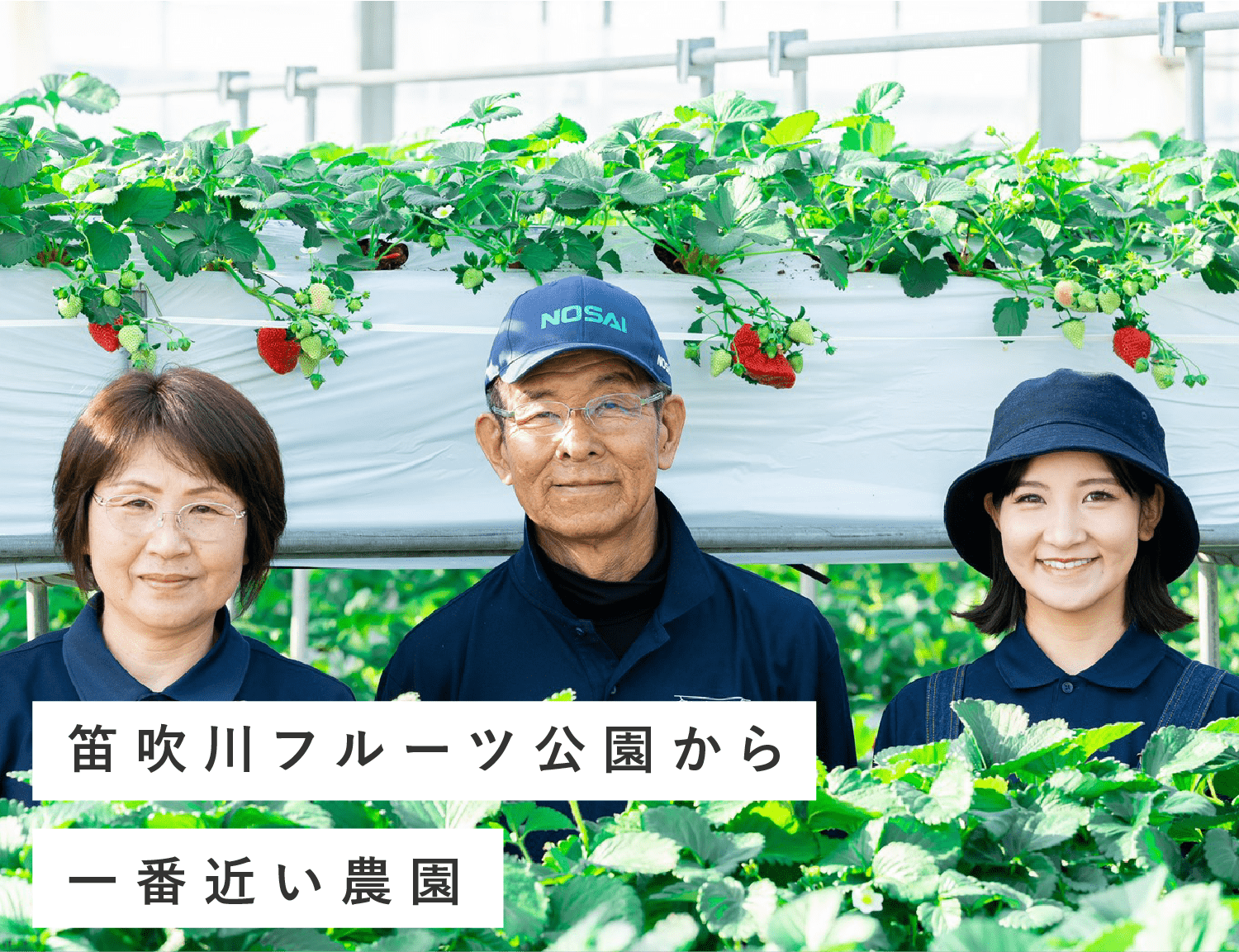 犬と行けるいちご狩りスポット。いちかわベリーハウス（山梨県）