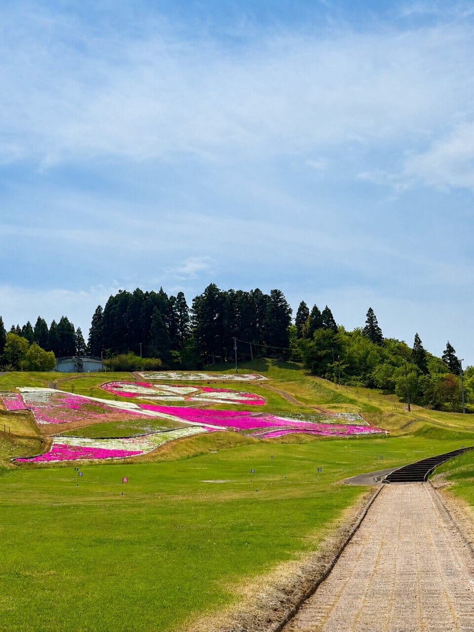 【秋田県・犬同伴OK】大森リゾート村｜雄大な自然と鮮やかな芝桜に包まれる、リフレッシュ保養地