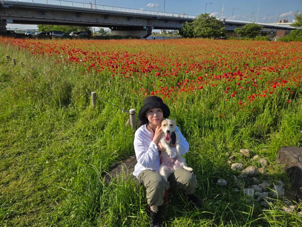 【東京・犬同伴OK】平井運動公園｜愛犬と季節の花に癒やされる、開放感抜群の河川敷オアシス