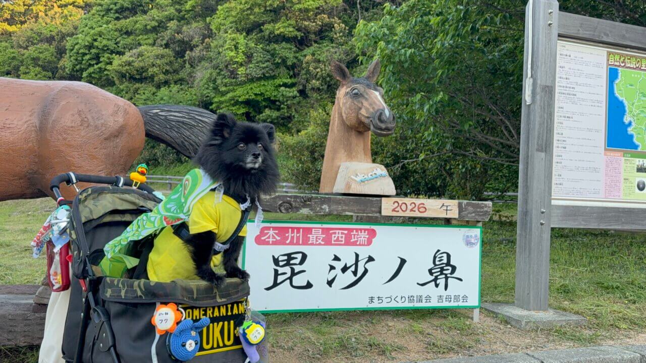 【山口県・犬同伴OK】毘沙の鼻｜瀬戸内海の景色と季節の花を楽しみながら、愛犬と一緒に散策できる海沿いのガーデンスポット