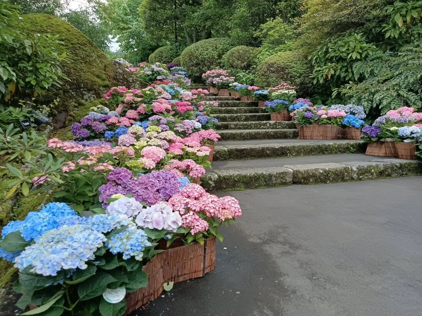 箱根強羅公園
