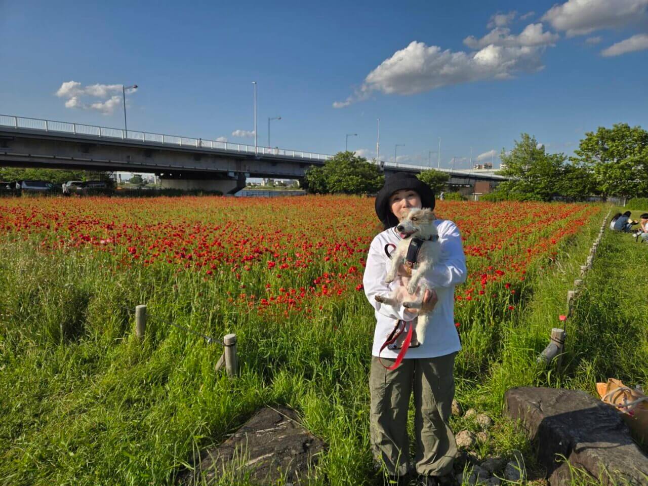 【東京・犬同伴OK】平井運動公園｜愛犬と季節の花に癒やされる、開放感抜群の河川敷オアシス