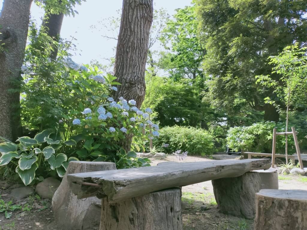 紫陽花が見れる犬連れOKのスポット「源氏山公園」