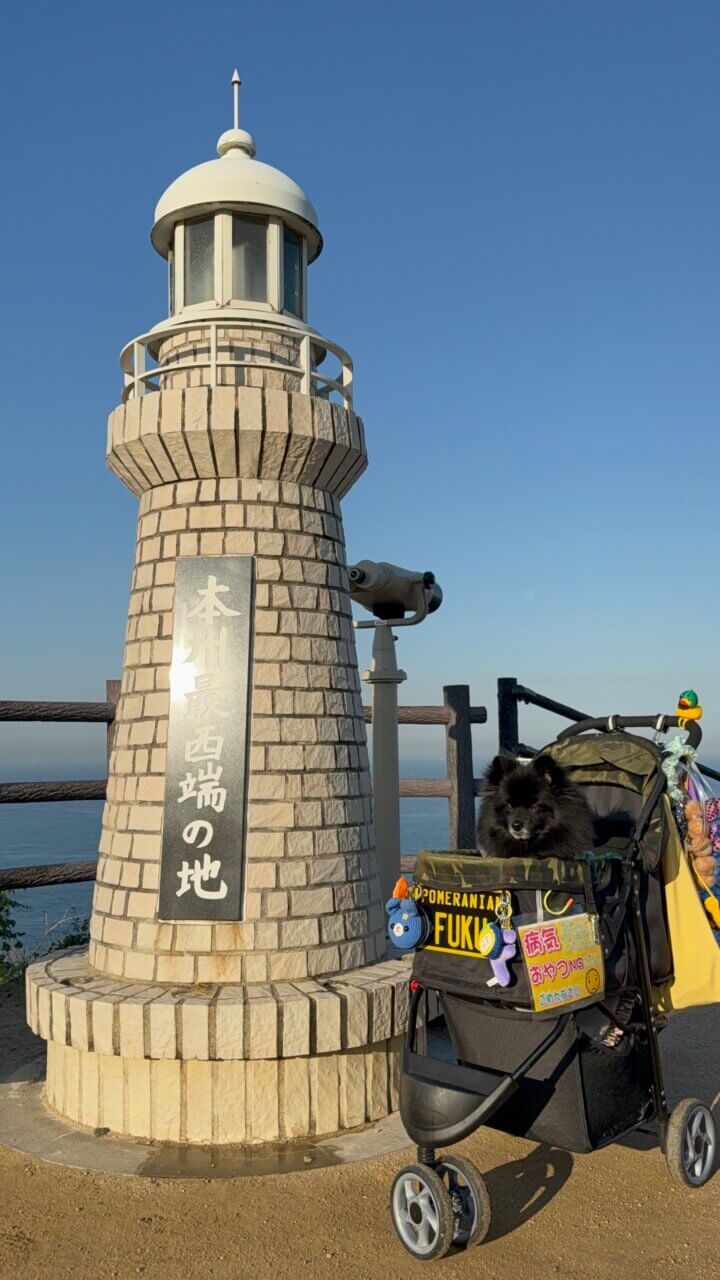 【山口県・犬同伴OK】毘沙の鼻｜瀬戸内海の景色と季節の花を楽しみながら、愛犬と一緒に散策できる海沿いのガーデンスポット