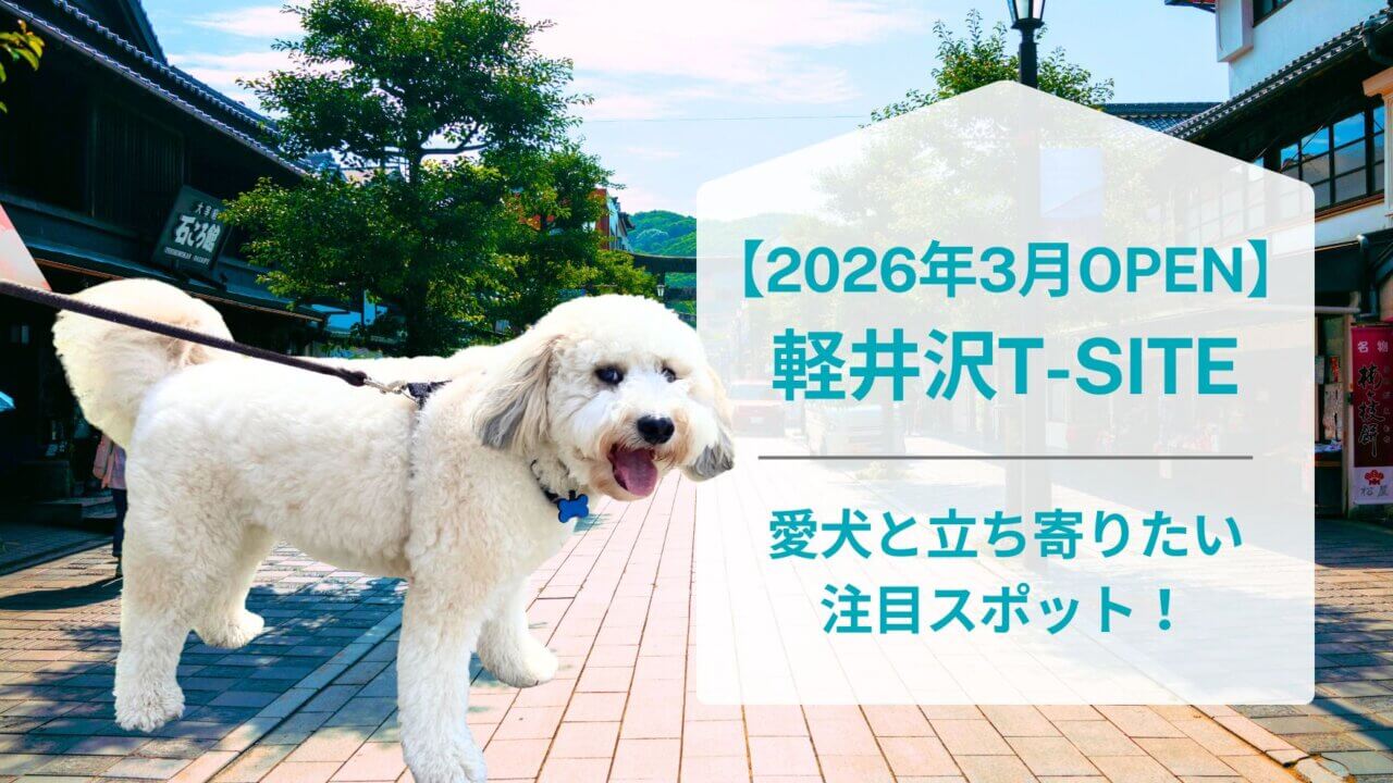 2026年3月17日にオープンした軽井沢T-siteについて