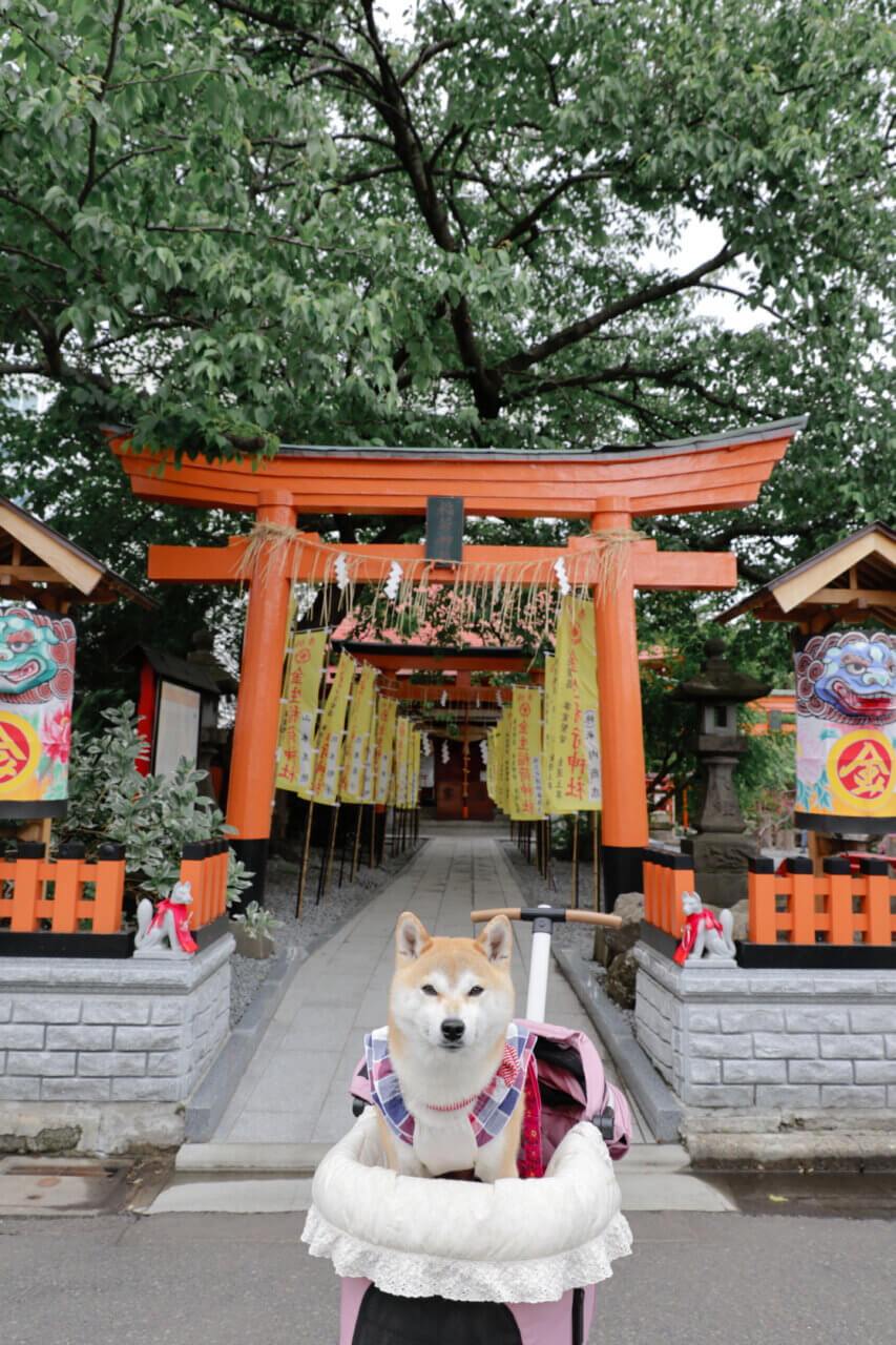 【岩手県・犬同伴OK】廣田神社|街なかで愛犬と静かに参拝できる癒やしの神社