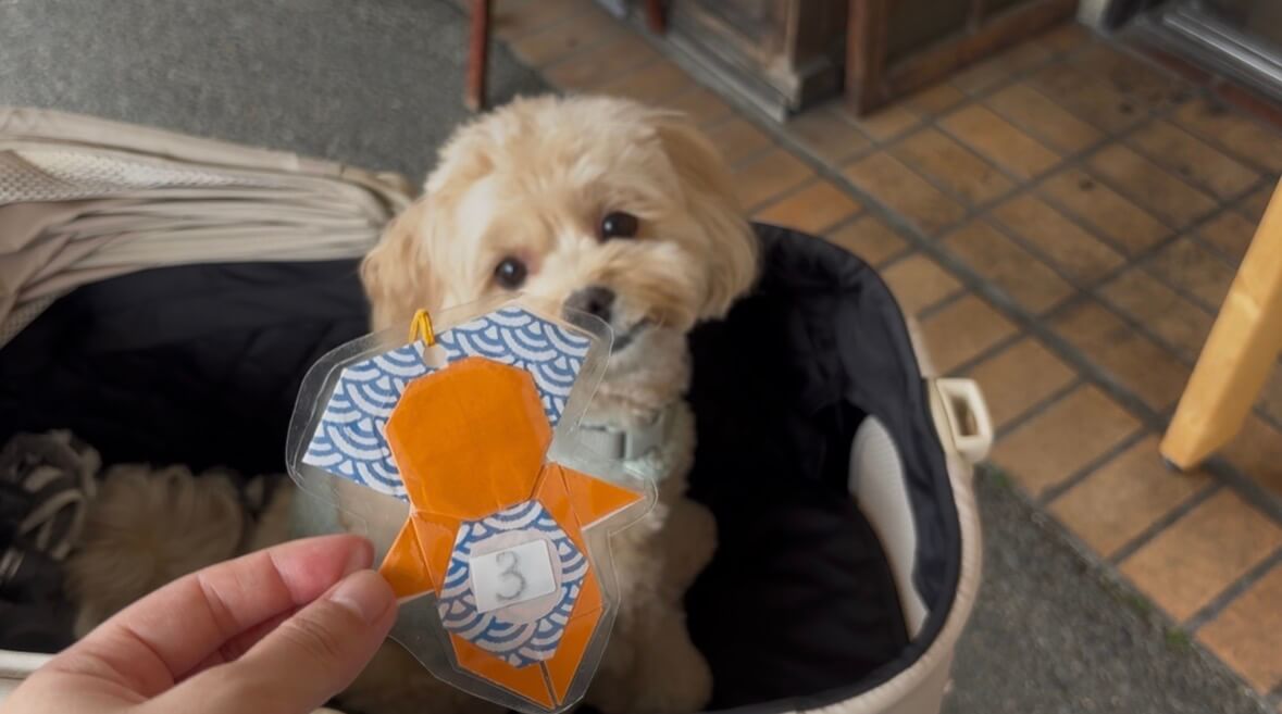 【岐阜県・犬同伴OK】高山古い街並み|犬と一緒に江戸情緒あふれる街歩きが楽しめる歴史スポット
