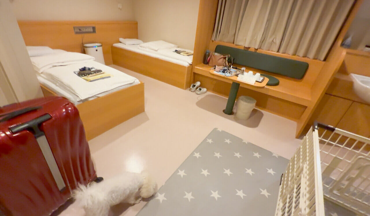 【兵庫県・犬同伴OK】阪急フェリーせっつ｜愛犬と同室で過ごせる、ドッグラン付きの快適カーフェリー