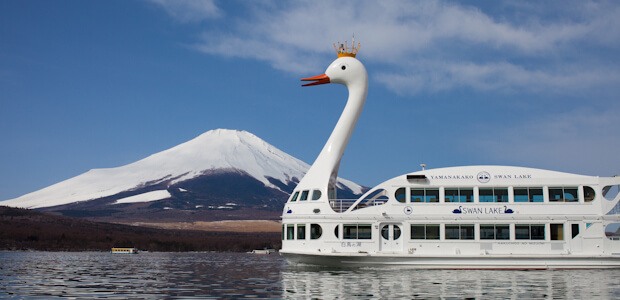 山中湖の白鳥の湖「白鳥の湖」