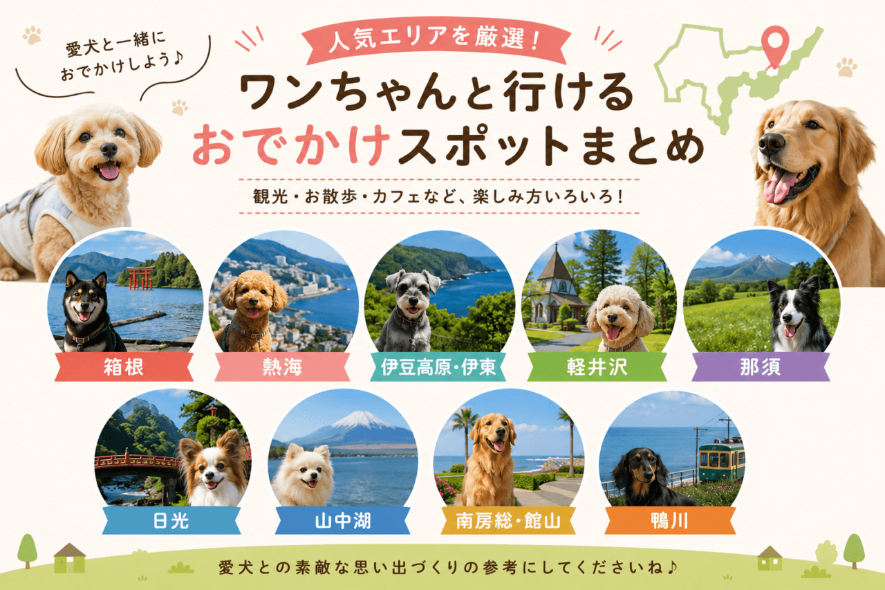 人気エリア