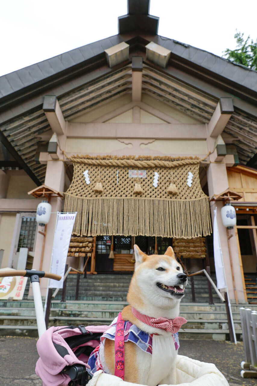 【岩手県・犬同伴OK】廣田神社|街なかで愛犬と静かに参拝できる癒やしの神社