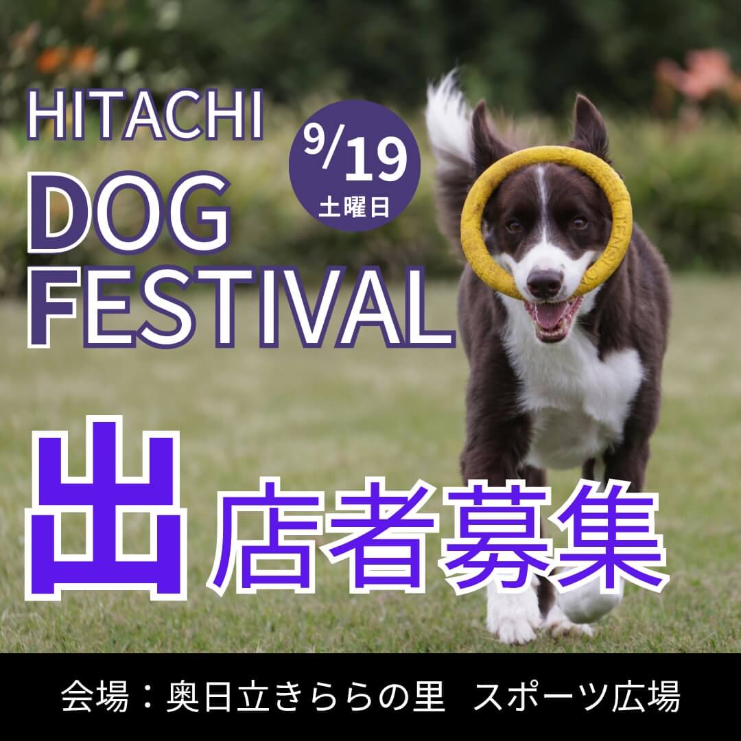 ひたちドッグフェスティバル