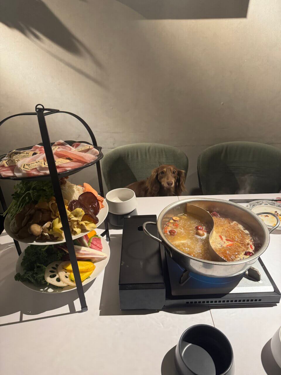【東京都・犬同伴OK】美容薬膳火鍋　美鍋｜池尻大橋で愛犬と楽しめる、華やかな空間の薬膳火鍋専門店