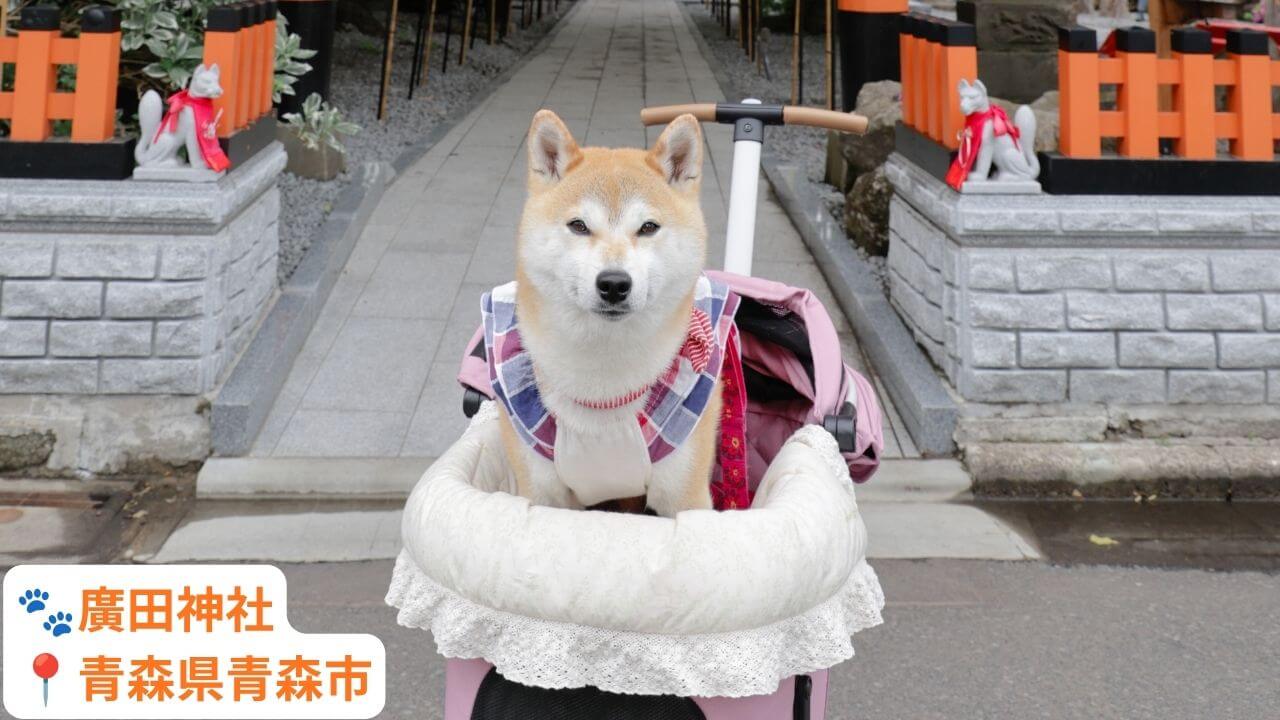 【岩手県・犬同伴OK】廣田神社｜街なかで愛犬と静かに参拝できる癒やしの神社