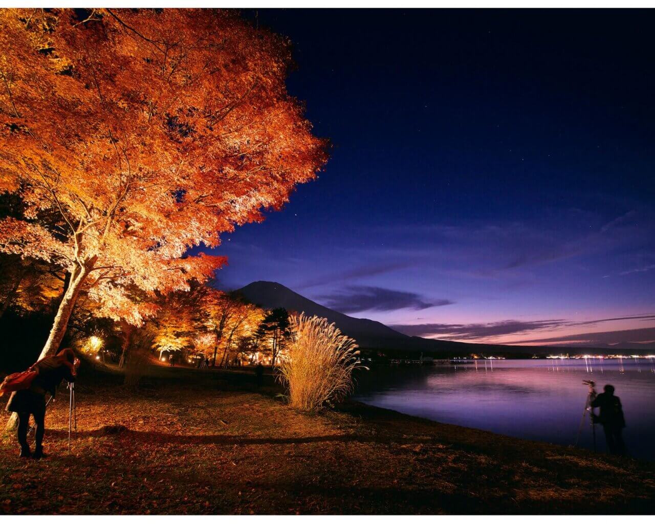 旭日丘湖畔緑地公園