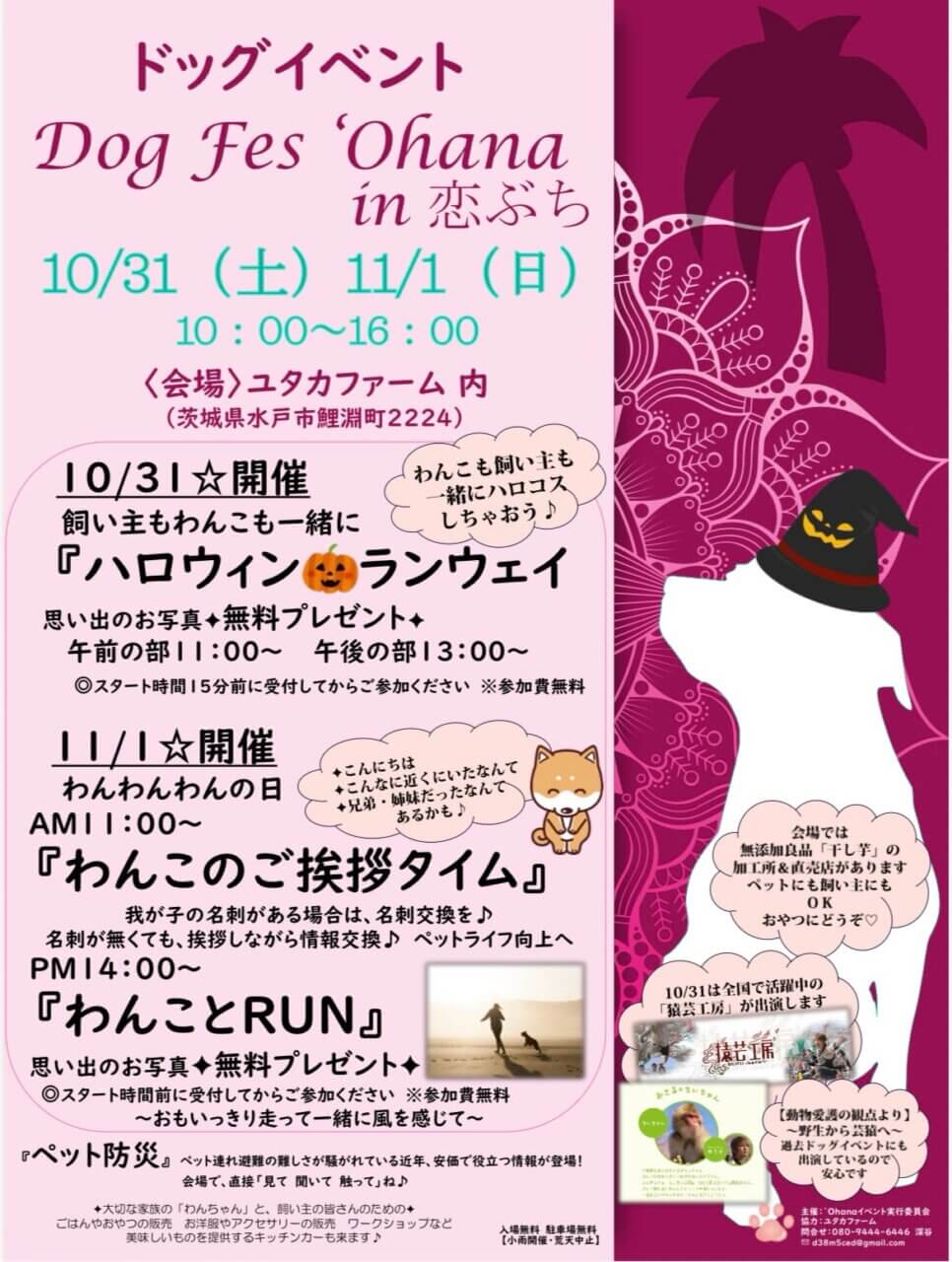 Dog Fes 'Ohana in 恋ぶち