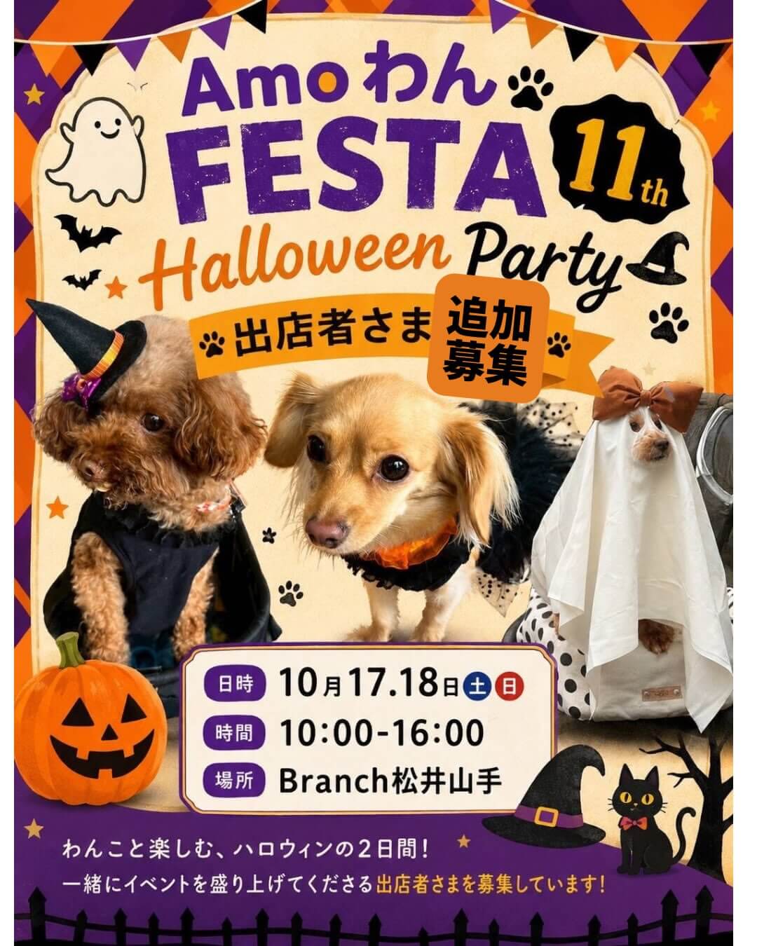 'Amo わん FESTA 11th