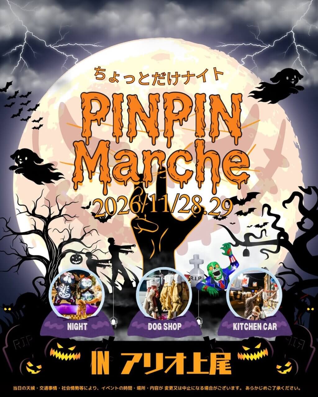 PINPINMarche