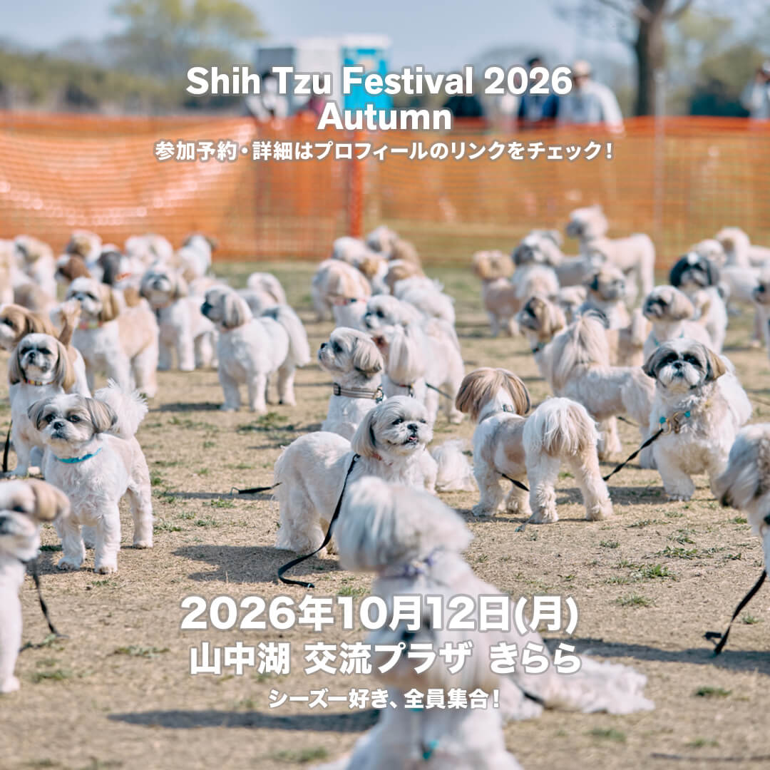 山中湖交流プラザ きらら Shih Tzu Festival 2026 AutumnShiba Festival 2026 Autumn
