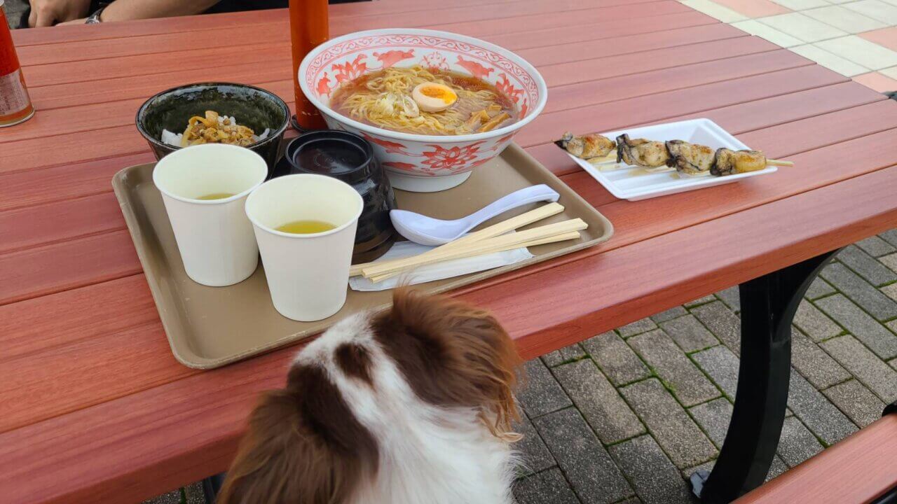  旅の駅 伊豆高原 ぐらんぱるぽーと
ごはん