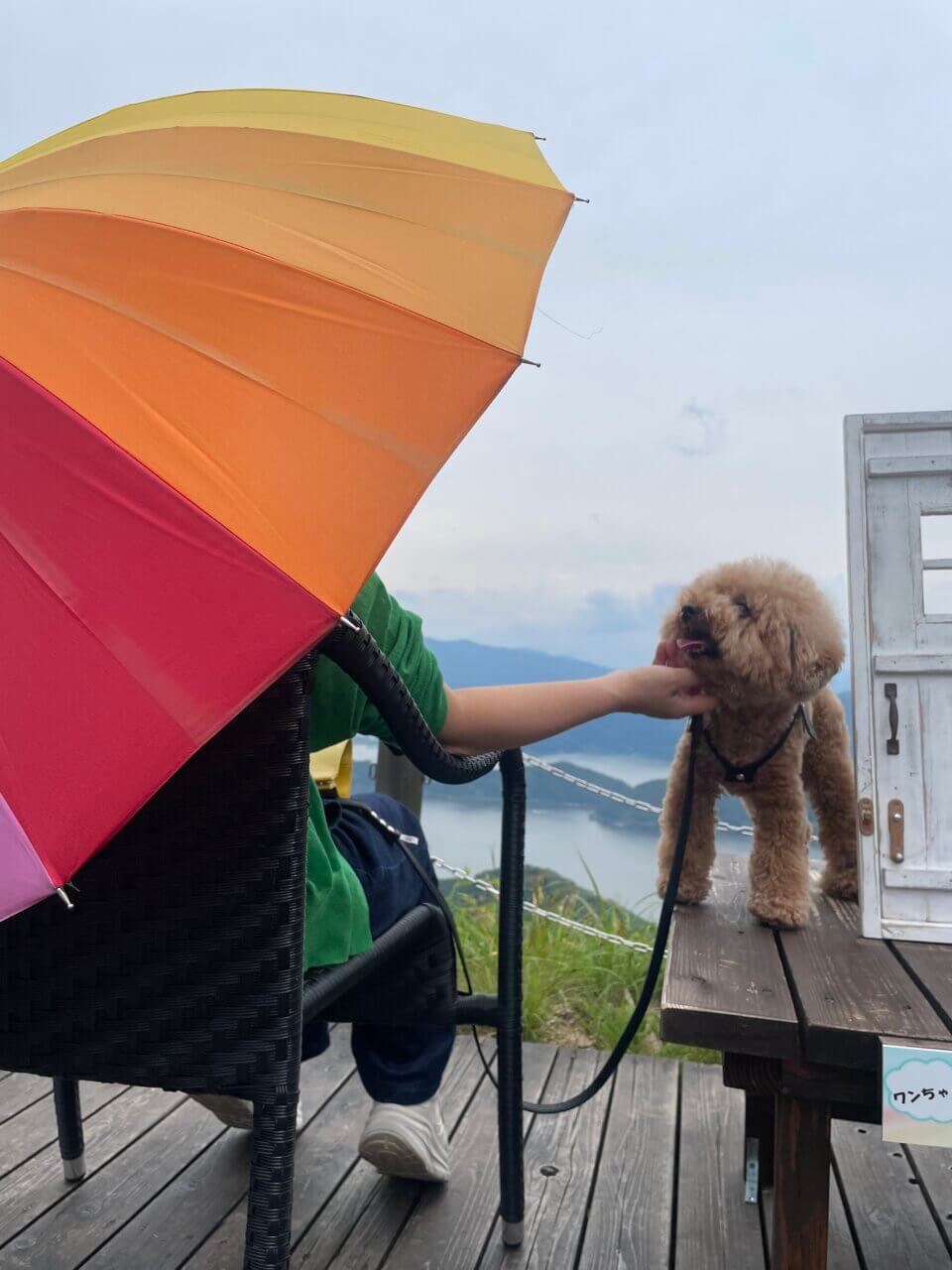 【福井県・犬同伴OK】三方五湖レインボーライン｜愛犬と絶景を満喫できる天空の展望スポット