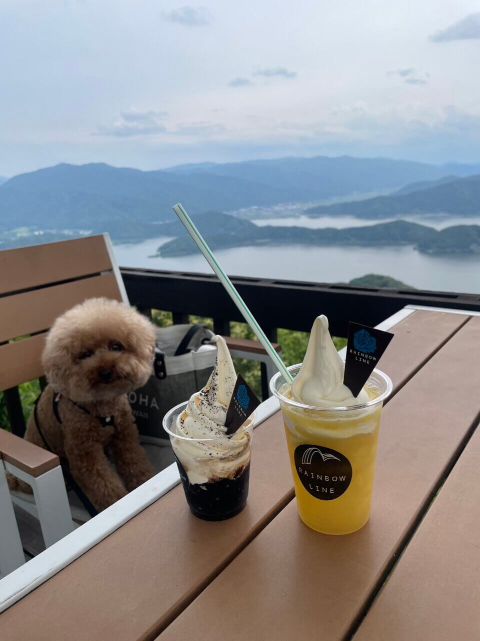 【福井県・犬同伴OK】三方五湖レインボーライン｜愛犬と絶景を満喫できる天空の展望スポット