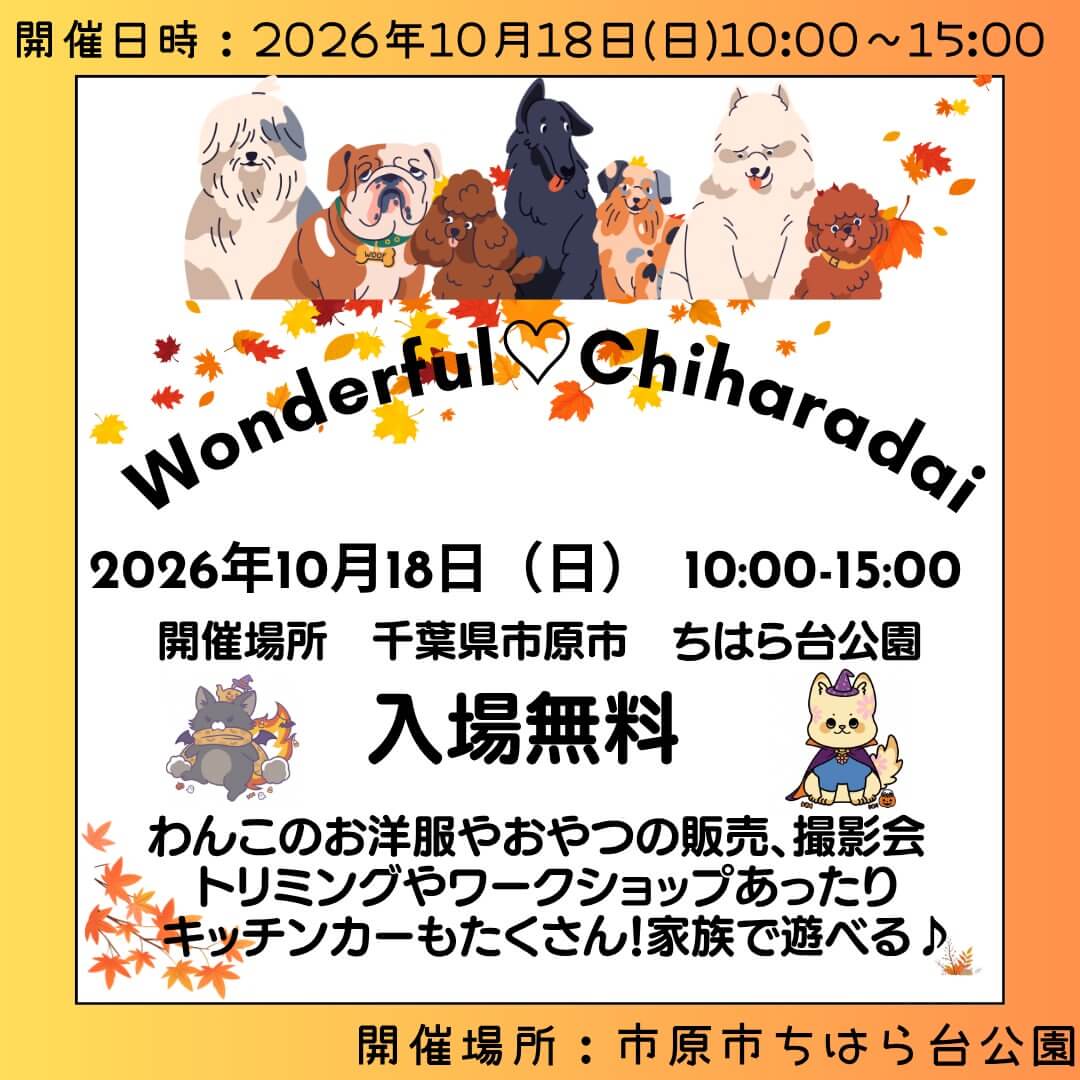 わんだふるちはらだい