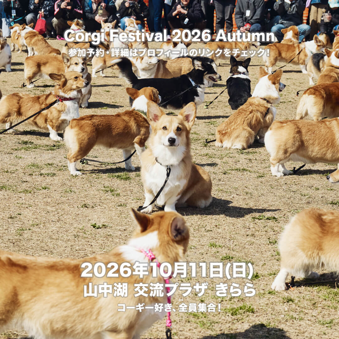山中湖交流プラザ きらら Corgi Festival 2026 Autumn