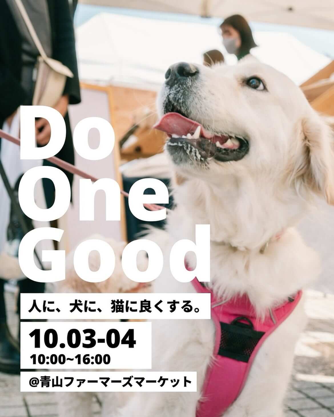 Do One Good -人に、犬に、猫に良くする- vol.28