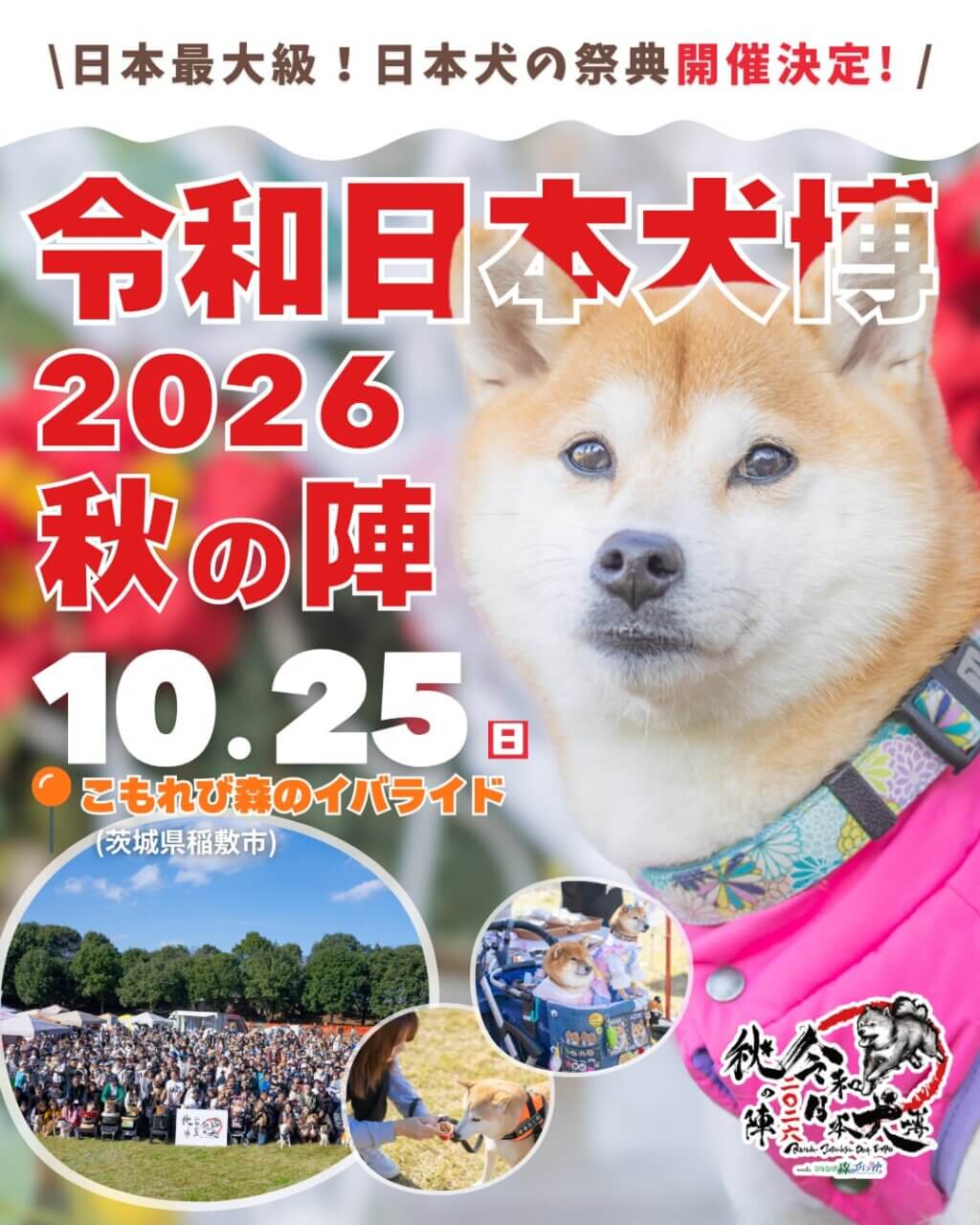 令和日本犬博 2026 秋の陣 meets こもれび森のイバライド