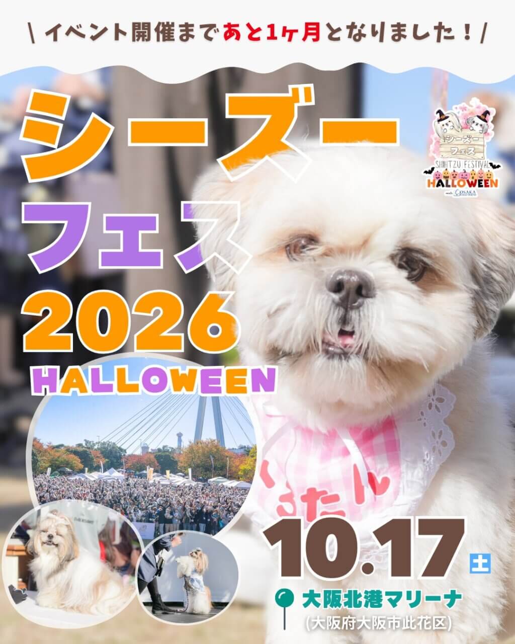 シーズーフェスティバル 2026 HALLOWEEN meets 大阪北港マリーナ