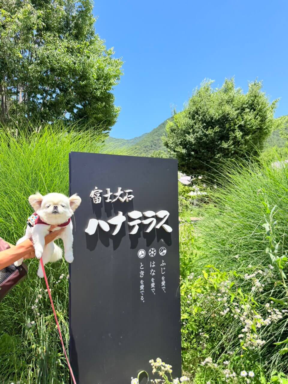 富士大石ハナテラス