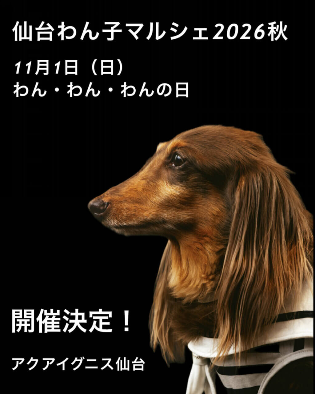 仙台わん子マルシェ2026秋