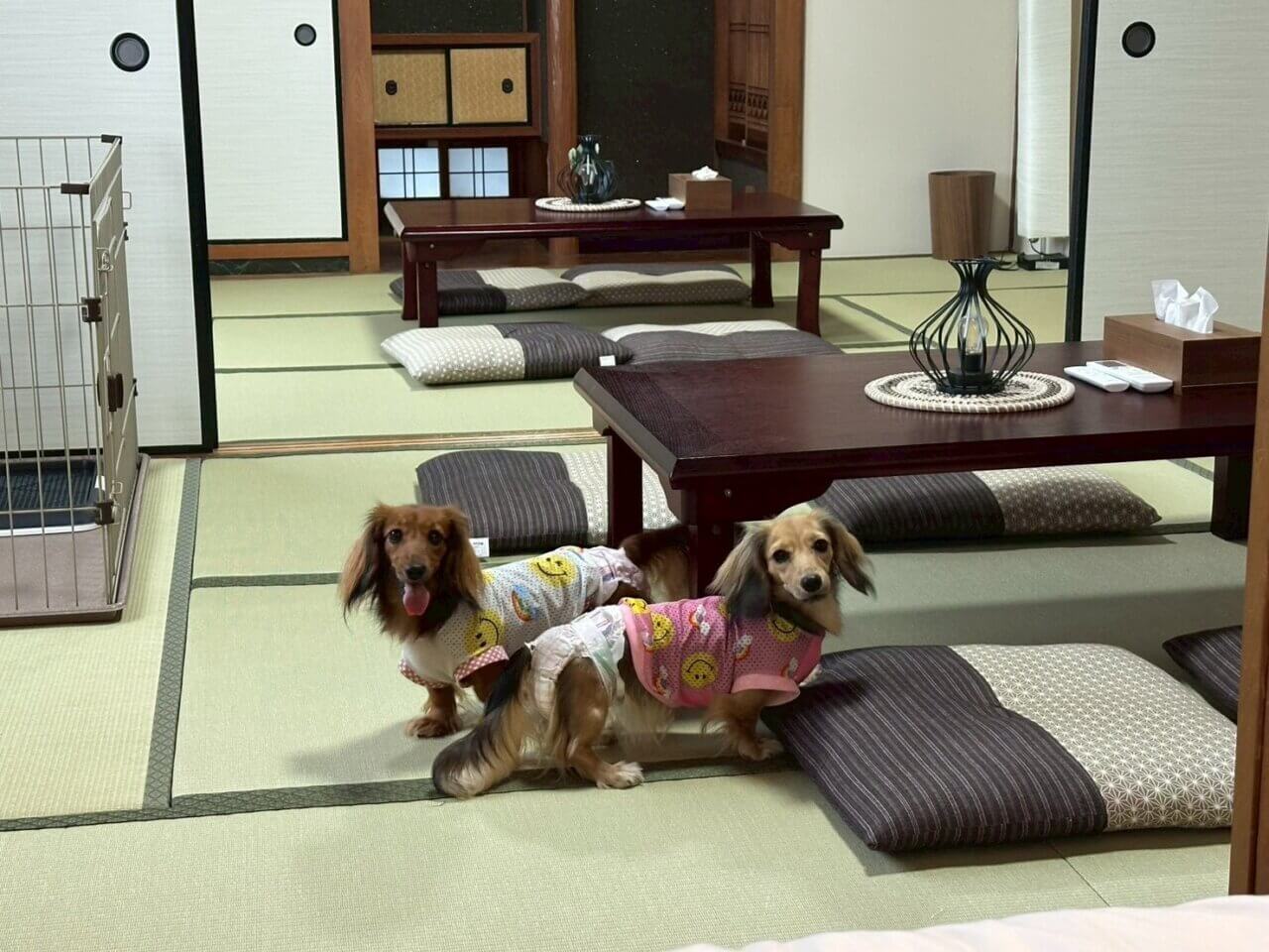 ふるシェアの家 大阪 千早赤阪村